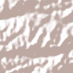 São Vicente Férrer Terrain Map