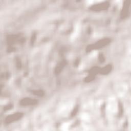 Flores do Piauí Terrain Map