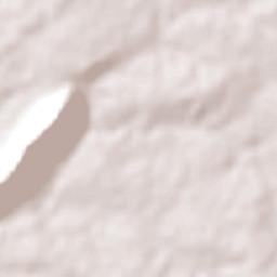 Caridade do Piauí Terrain Map