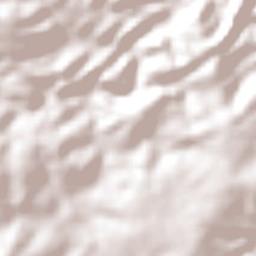 São José de Princesa Terrain Map