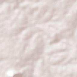 Tuparetama Terrain Map