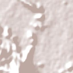 Selogiri Terrain Map