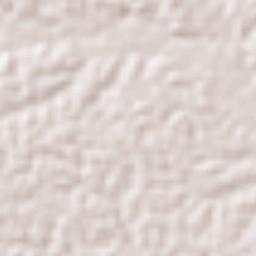 Rodrigues Alves Terrain Map