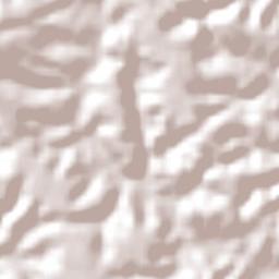 Abreu e Lima Terrain Map