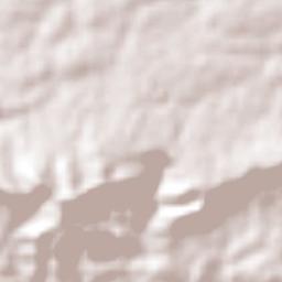 Frei Miguelinho Terrain Map