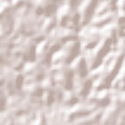 Lagoa do Itaenga Terrain Map