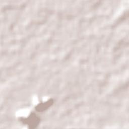 Kabupaten Ponorogo Terrain Map