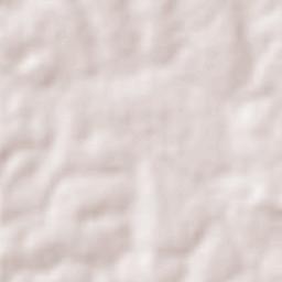 Bernardo Sayão Terrain Map