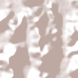 Redenção Terrain Map