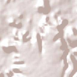 Ribeiro Gonçalves Terrain Map