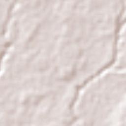 Pakisaji Terrain Map