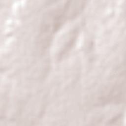 Pedro Laurentino Terrain Map