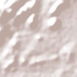 Custódia Terrain Map