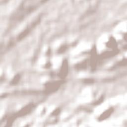 São João do Tigre Terrain Map