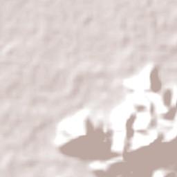 Kabupaten Tulungagung Terrain Map