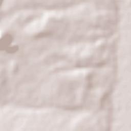 Manoel Emídio Terrain Map