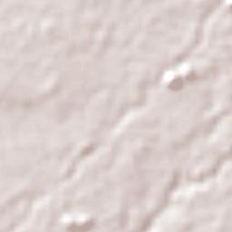 Kabupaten Malang Terrain Map