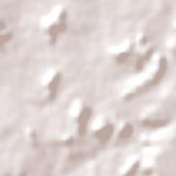 Brejo do Piauí Terrain Map