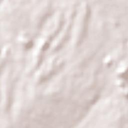 São João do Piauí Terrain Map