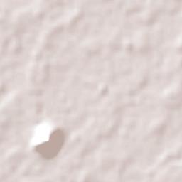 Kabupaten Jember Terrain Map