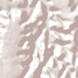 Tasso Fragoso Terrain Map