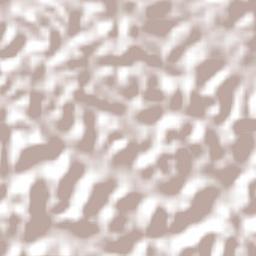 Cabo de Santo Agostinho Terrain Map