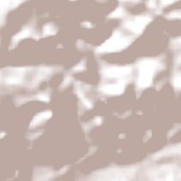 Pesqueira Terrain Map