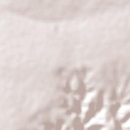 Tamboril do Piauí Terrain Map