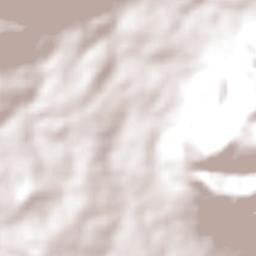 Carnaubeira da Penha Terrain Map