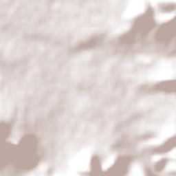 Arcoverde Terrain Map