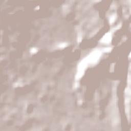 Amlapura Terrain Map