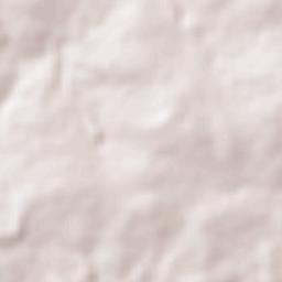 Presidente Kennedy Terrain Map