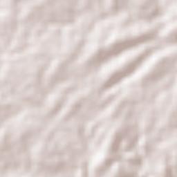 Agrestina Terrain Map