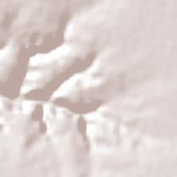 Palmeira do Piauí Terrain Map