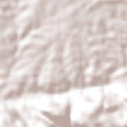 Capitão Gervásio Oliveira Terrain Map