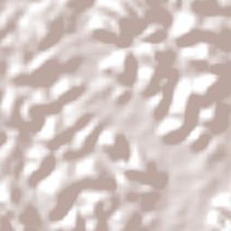 Ribeirão Terrain Map