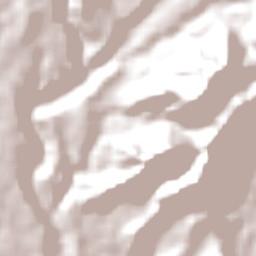 Banjar Wangsian Terrain Map