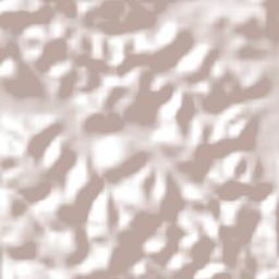 Gameleira Terrain Map