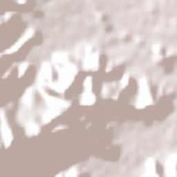 Kabupaten Bima Terrain Map