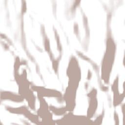 Kabupaten Sikka Terrain Map