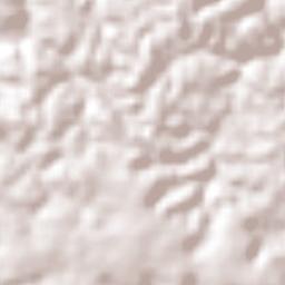 Recursolândia Terrain Map