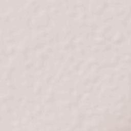 Baixa Grande do Ribeiro Terrain Map