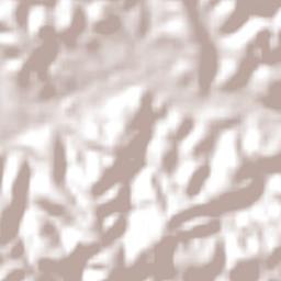 Palmares Terrain Map