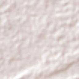 Morehead Terrain Map