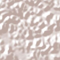 Tamandaré Terrain Map