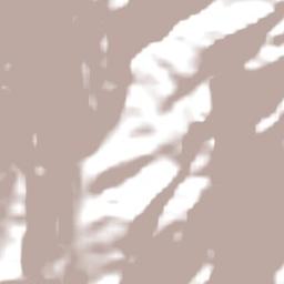 Kabupaten Nagekeo Terrain Map