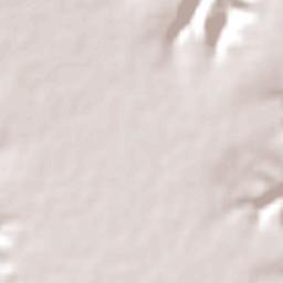 Santa Filomena Terrain Map