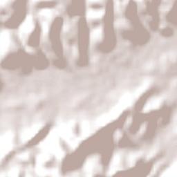 Colônia Leopoldina Terrain Map