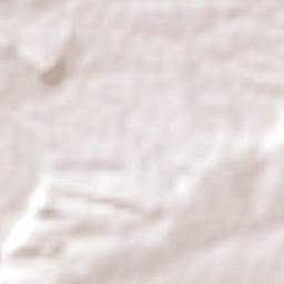 Tacaratu Terrain Map