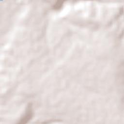 Santa Luz Terrain Map